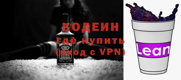 дживик Богородск