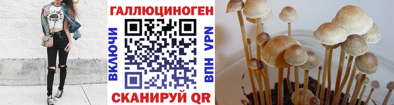MEGA ссылка  Самара  Галлюциногенные грибы MAGIC MUSHROOMS 